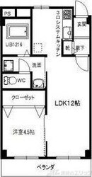 エルソフィア正雀IIの物件間取画像